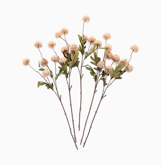 Decorative Dried Flowers