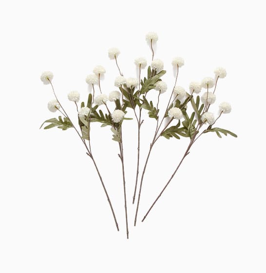 Decorative Dried Flowers